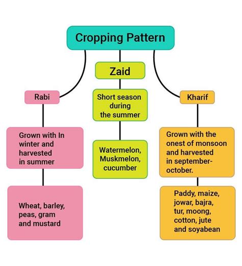 explain the features of cropping pattern in india class 10