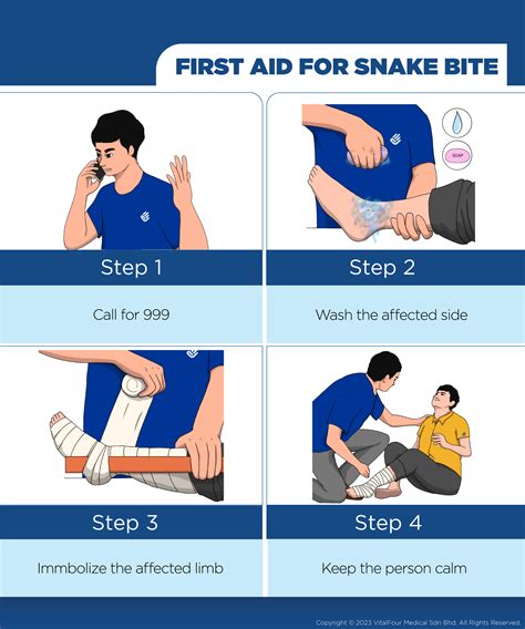 explain the first aid management in snake bite