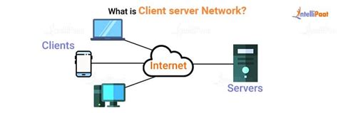 explain the function of server and client in a network