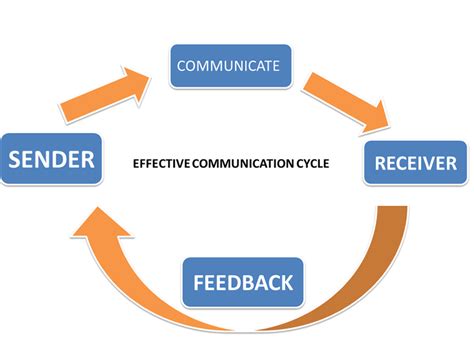 explain the importance of feedback in a communication cycle