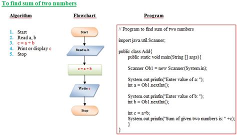explain the importance of program design tools like algorithm and flowchart