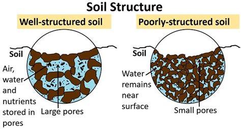 explain the importance of soil structure