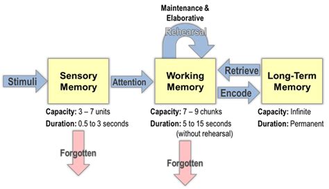 explain the information processing models of teaching