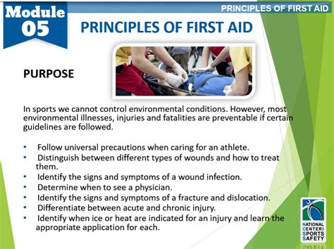 explain the principles of first aid pdf