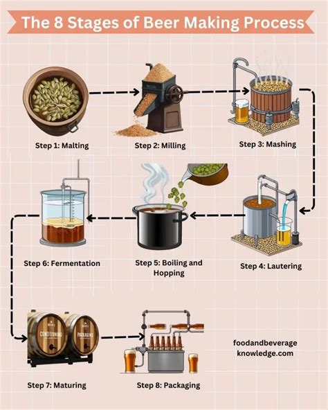 Explain The Process Of Making Beer