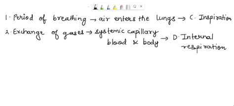 Explain The Relative Roles Of The Respiratory Muscles And Lung Elasticity In The Act Of Ventilation