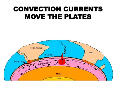 explain the role of convection in plate movement