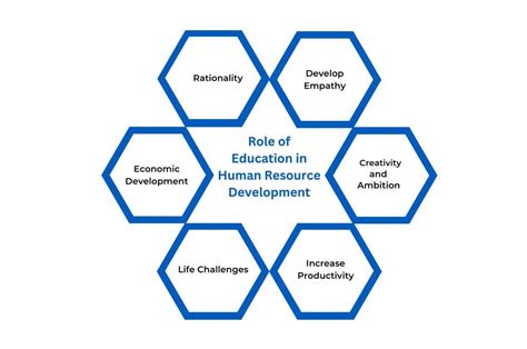 explain the role of education in development