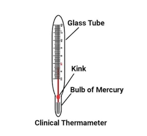 explain the structure of a clinical thermometer with the help of a diagram