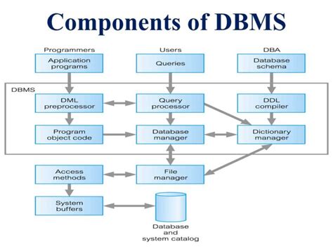 explain the structure of dbms