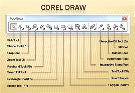Explain The Tools In Corel Draw