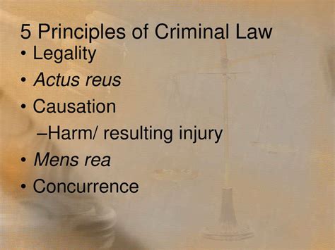 explain the two basic principles of criminal law