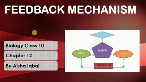 explain the types of feedback class 10th
