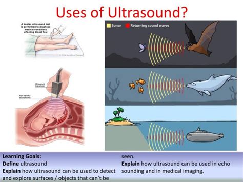 explain the uses of infrasonic and ultrasonic sounds