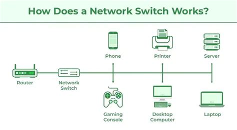 explain the working principle of a router and switch in a network