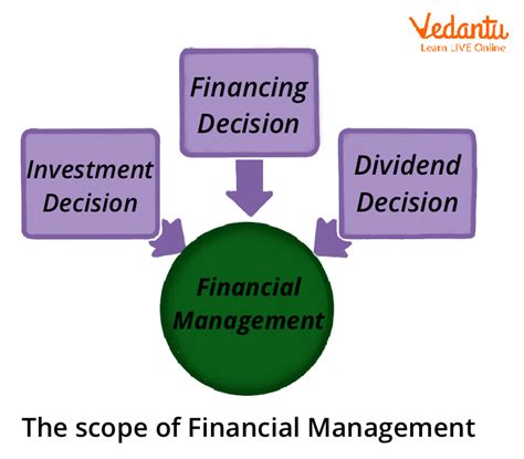 explain three 3 key functions of financial management software