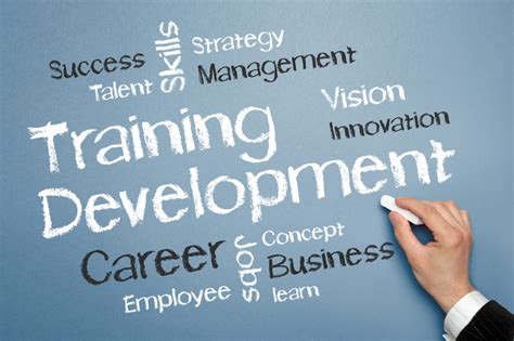 explain training and development