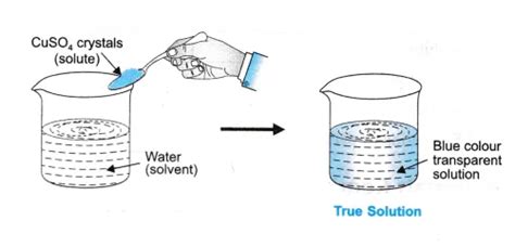 explain true solution