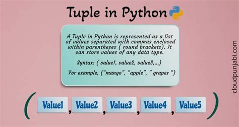 explain tuple function in python