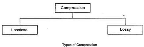 explain types of data compression