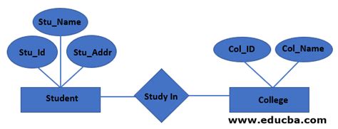 explain types of relationship in dbms