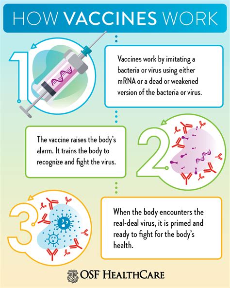 explain vaccination and immunization