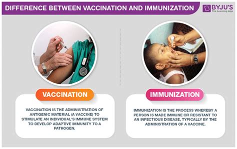 explain vaccination and immunization class 12