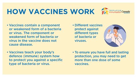explain vaccination class 12