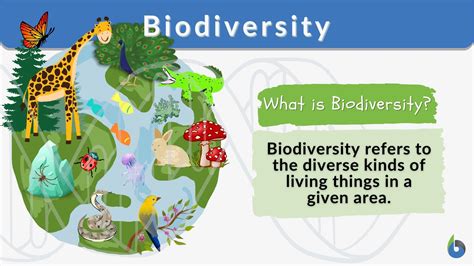 explain what is meant by biodiversity