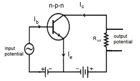 explain working of transistor as an amplifier with the help of proper diagram