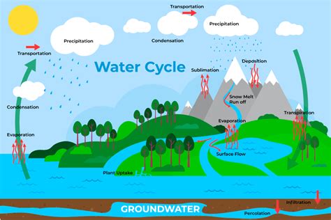 What Does Water Cycle Mean