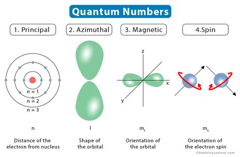 What is quantum number what do quantum number determine Tuition Tube