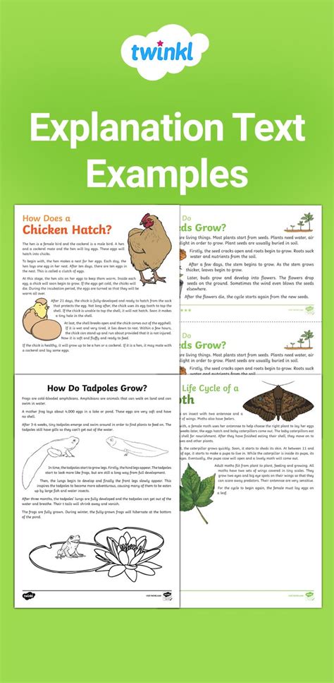 explanation text examples