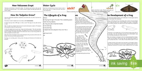 explanation text introduction examples