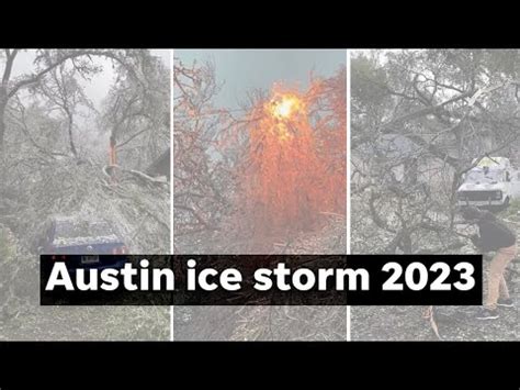Exploding Trees Austin
