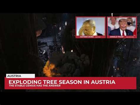 Exploding Trees Austria