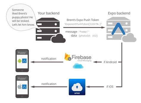 expo push notifications api