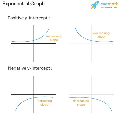 exponential function graph examples