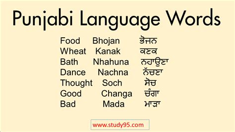 export chat meaning in punjabi with example