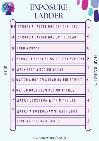 Exposure Ladder Examples