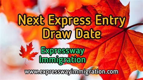 express entry draw next date