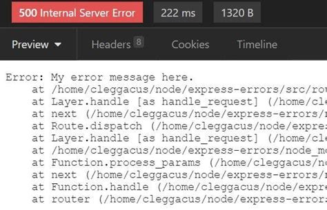 Express Js Throw Error