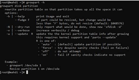 Extend Filesystem Command Linux