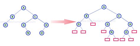 extended binary tree example