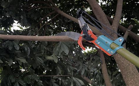 Extending Tree Pruning Saw And Lopper