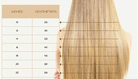 Extension Hair Length Chart s Guide Diagram