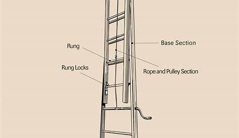 Extension Ladder Diagram Parts Of A (w/ Step And s)