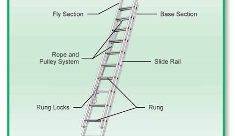 Extension Ladder Parts Diagram 26 Wiring Database 2020