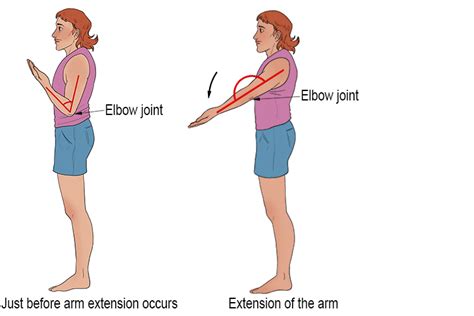 Extension Arm Definition