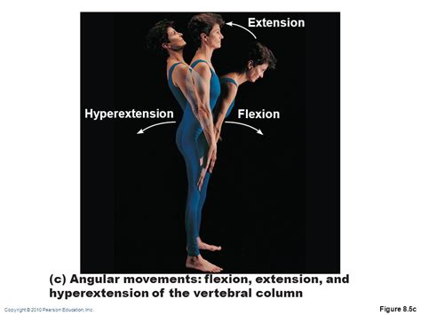 Extension Flexion Hyperextension